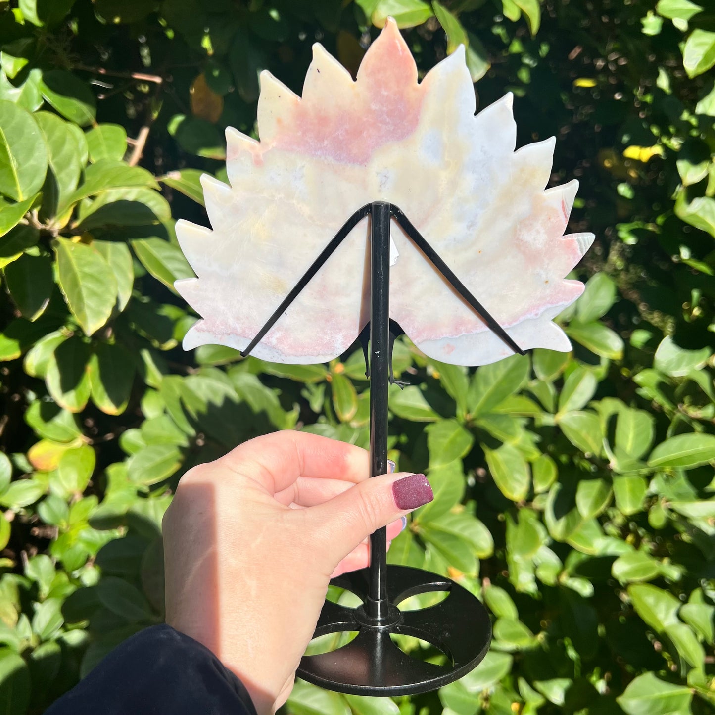 Rare Pink Calcite Peacock Crystal Wings