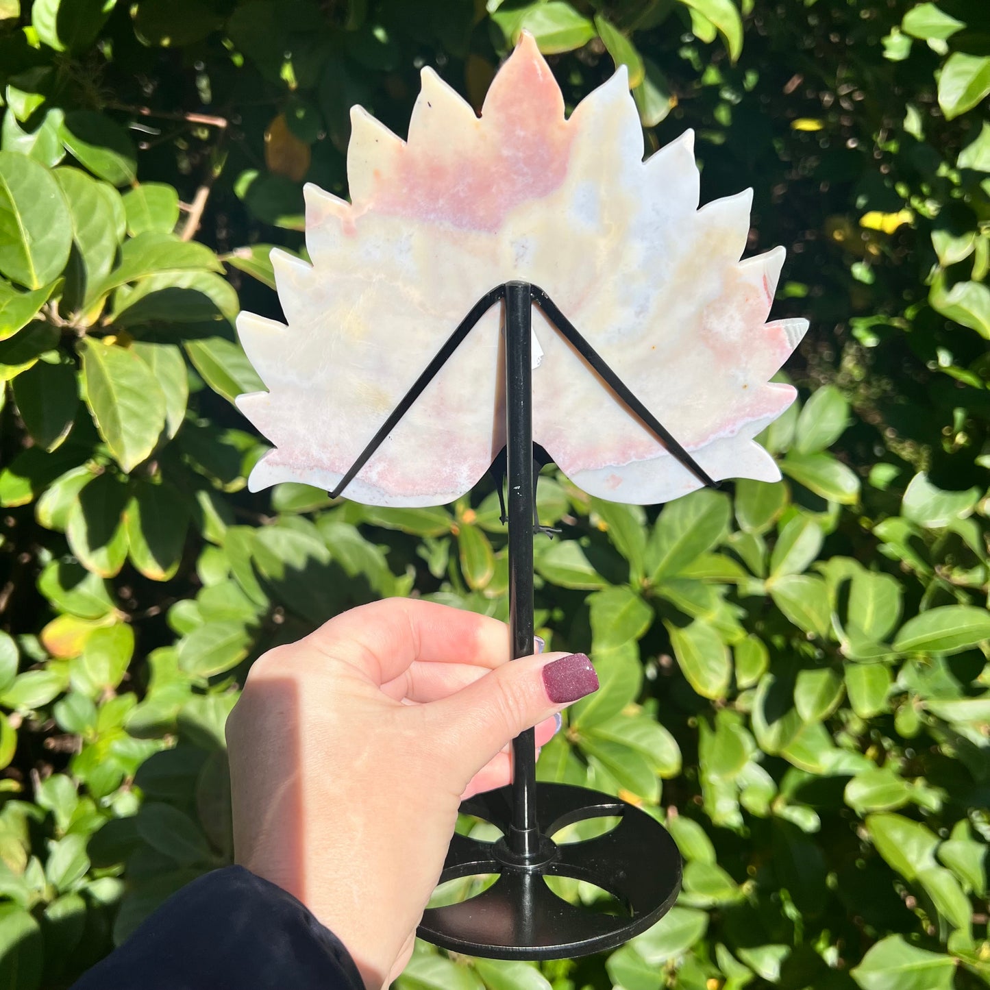 Rare Pink Calcite Peacock Crystal Wings