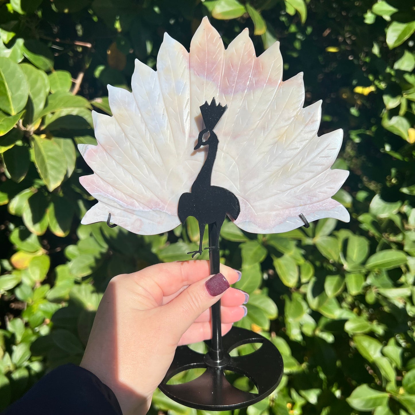 Rare Pink Calcite Peacock Crystal Wings