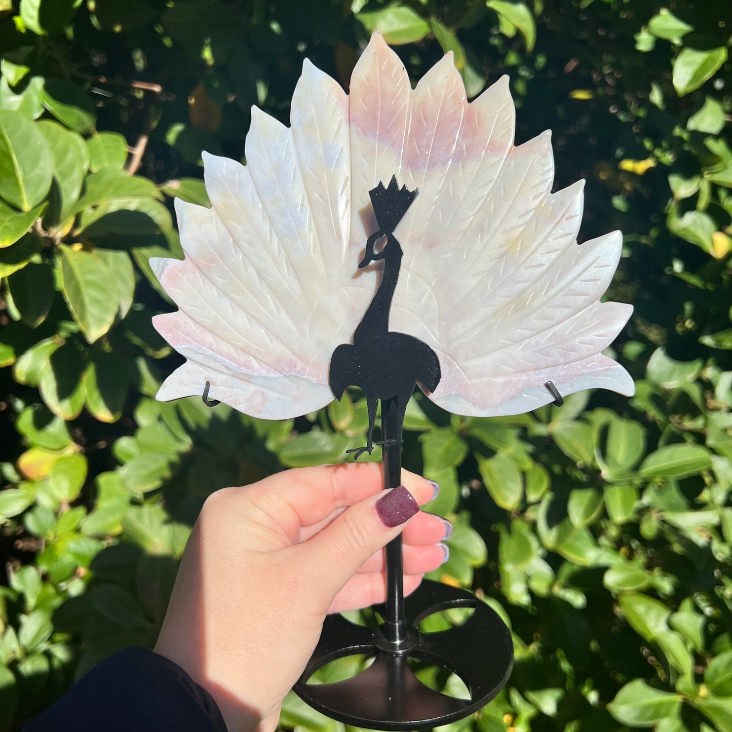 Rare Pink Calcite Peacock Crystal Wings